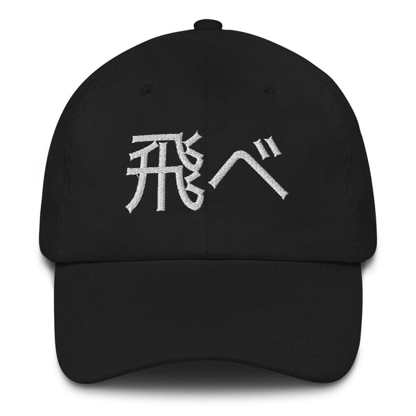 Fly High Embroidery Dad hat