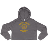 Firebending University Yellow Ink Crop Hoodie - Geeks Pride